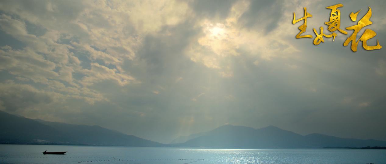 哪些电影中的风景特别美,文艺电影的目的