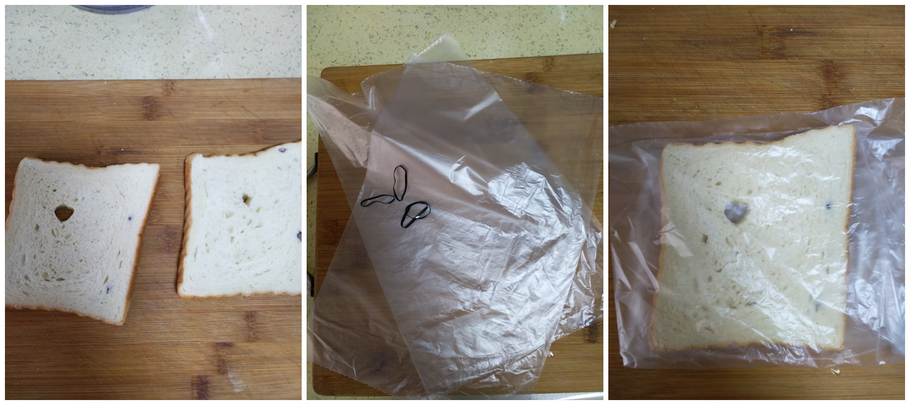 这丑萌丑萌的小仓鼠,谁还舍得吃掉?