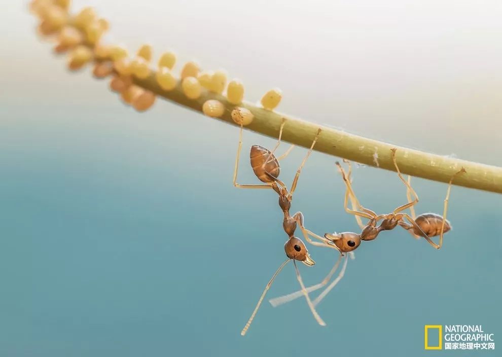 你忙着过七夕,而我用25张图纪念我们共度的这个夏天|夏末特供