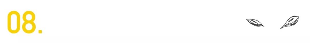 高晓松讲许巍,曾陪你仗剑走天涯歌词