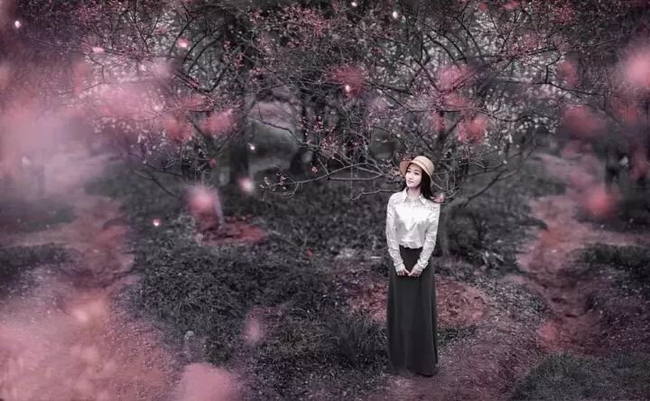 回眸一笑百媚生电视剧,回眸一笑百媚生小说