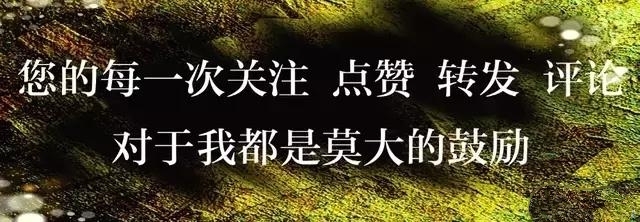 鸽子主题餐厅取什么名字,餐厅的名字怎么取