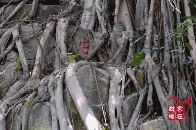 福州新的公园,福州这几年新开发的公园