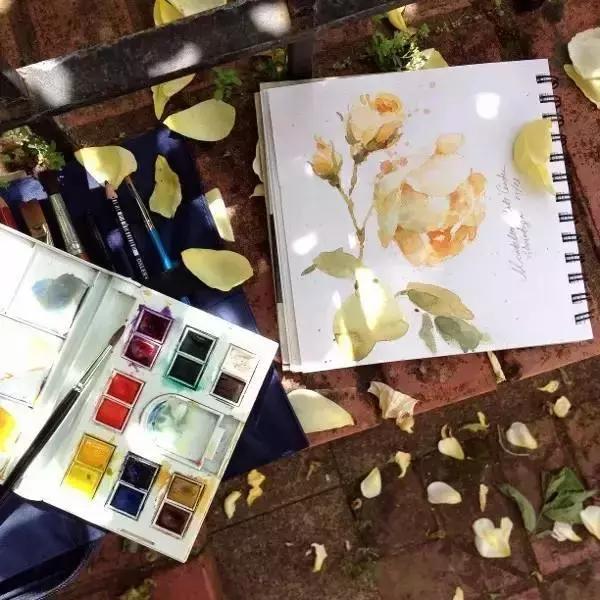 水彩教程颜料,水彩的基本知识与技法