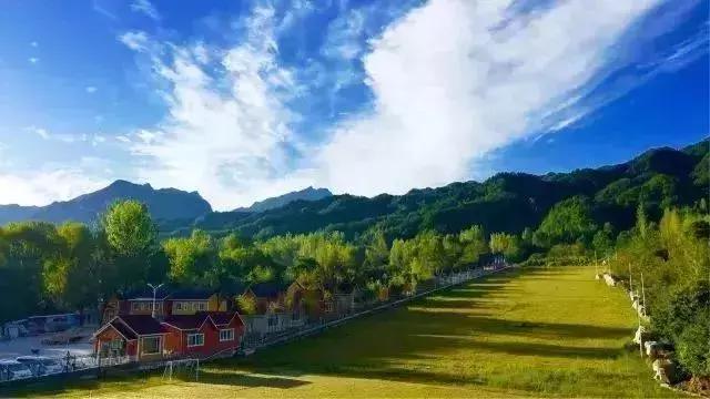 洛阳夏天适合一天游玩放松的地方,洛阳这个季节适合去哪旅游