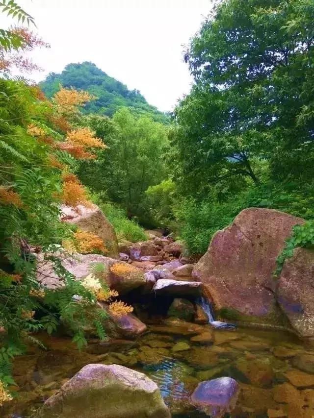 洛阳夏天适合一天游玩放松的地方,洛阳这个季节适合去哪旅游