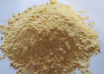 你不知道狗粮的那些事,狗市的狗粮有什么内幕