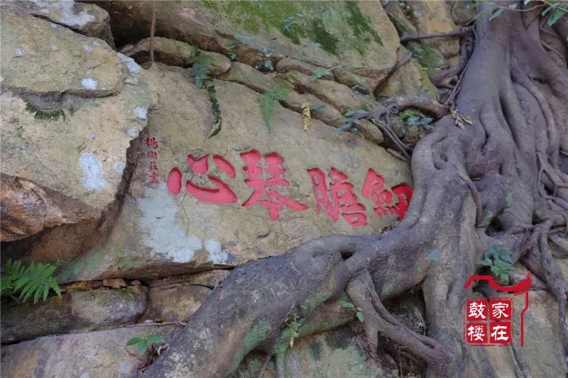 福州现在可以正常开放的公园,福州公园换新颜值