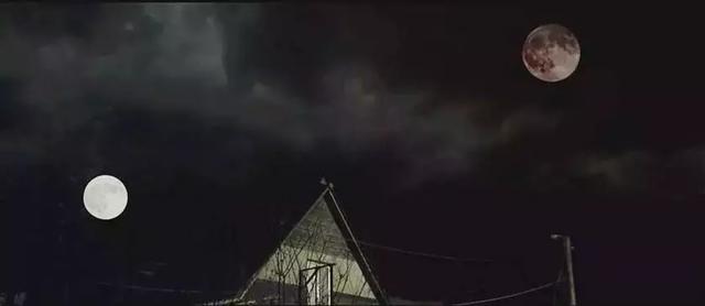 被遗忘的冷门科幻惊悚电影,冷门好看的科幻恐怖电影