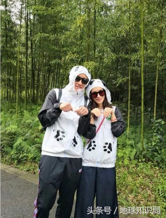 美帝再牛逼，遇见熊猫也得吸？地球知识局