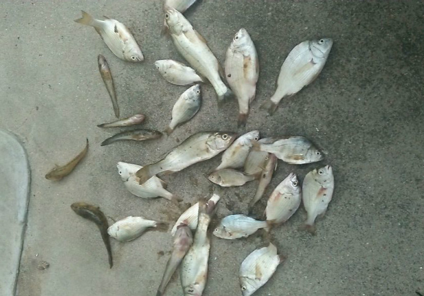 路亚需不需要饵料,当初是谁说玩路亚不烧钱表情包