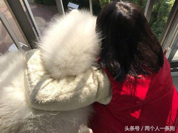 怀孕就不可以养狗？牵他进门就应照顾一生，养犬人都应该知道！