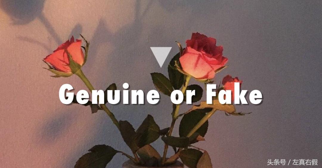 haba鲨烷美容油真假对比,haba鲨烷美容油哪个好用