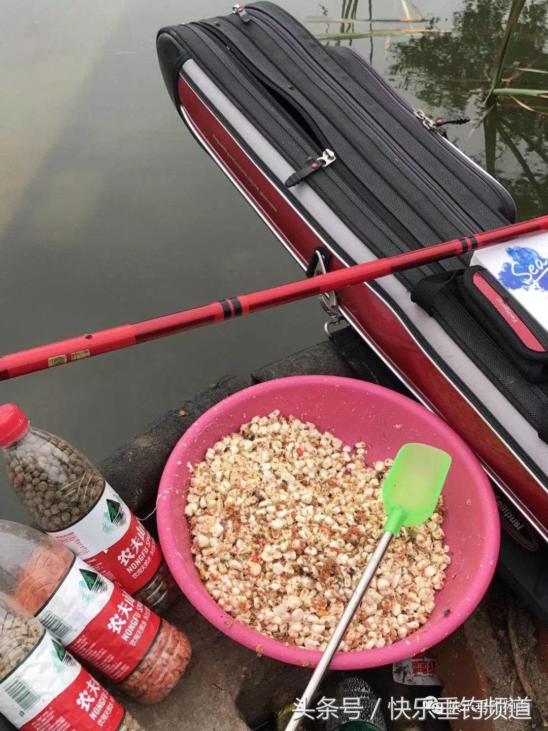 河蟹闹窝怎么钓鱼最好,河蟹闹窝怎么办