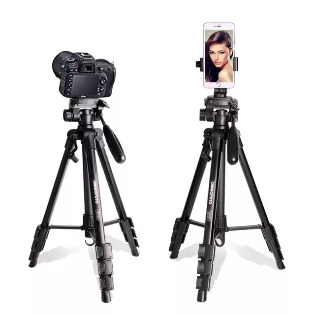 月赛冠军奖励,首届全球华人旅拍大赛