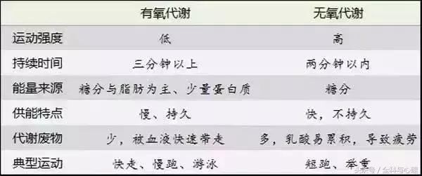 有氧运动和无氧运动哪种燃脂,挥拍运动是有氧运动还是无氧运动