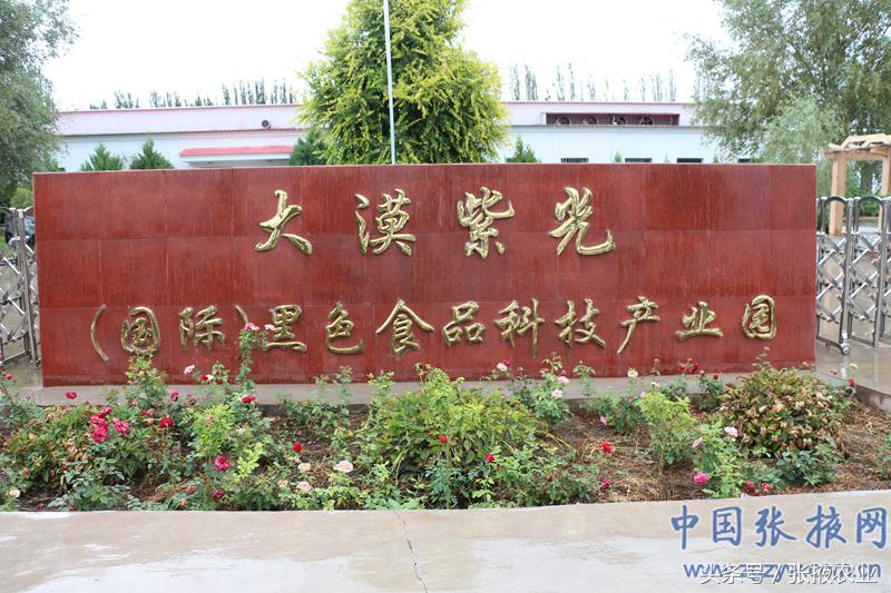 百e国际香港,百e国际平台