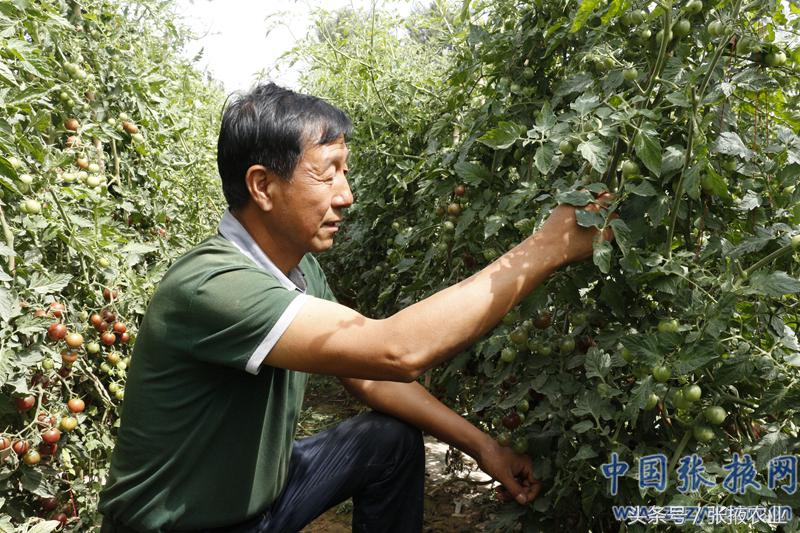 百e国际香港,百e国际平台