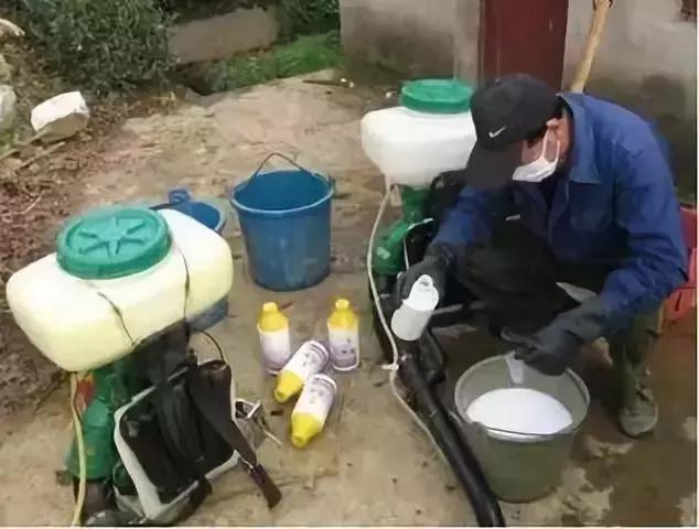 赤霉素芸苔素多效唑用法大汇总,多效唑赤霉素的作用