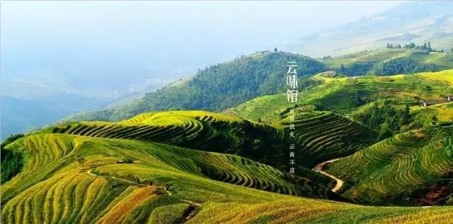 深圳云味馆过桥米线南山茂业店,米线连锁餐饮设计案例