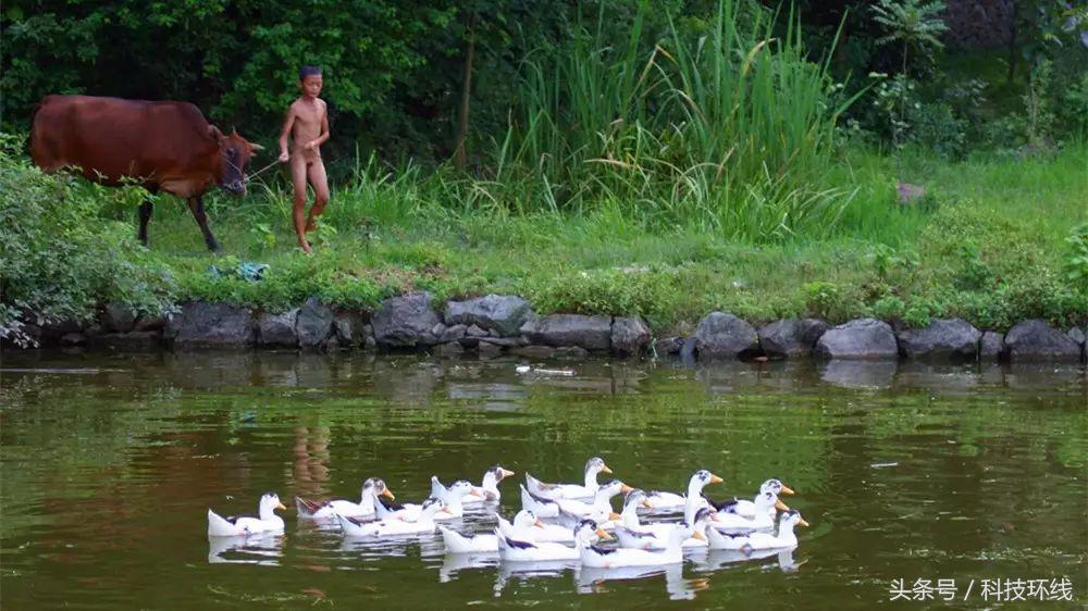 刘铭‖家乡有座山叫下角砠