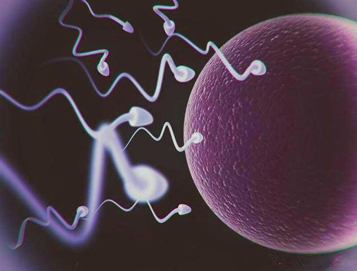 有问题的精子可以和卵子结合吗,只有一个精子能跟卵子结合吗