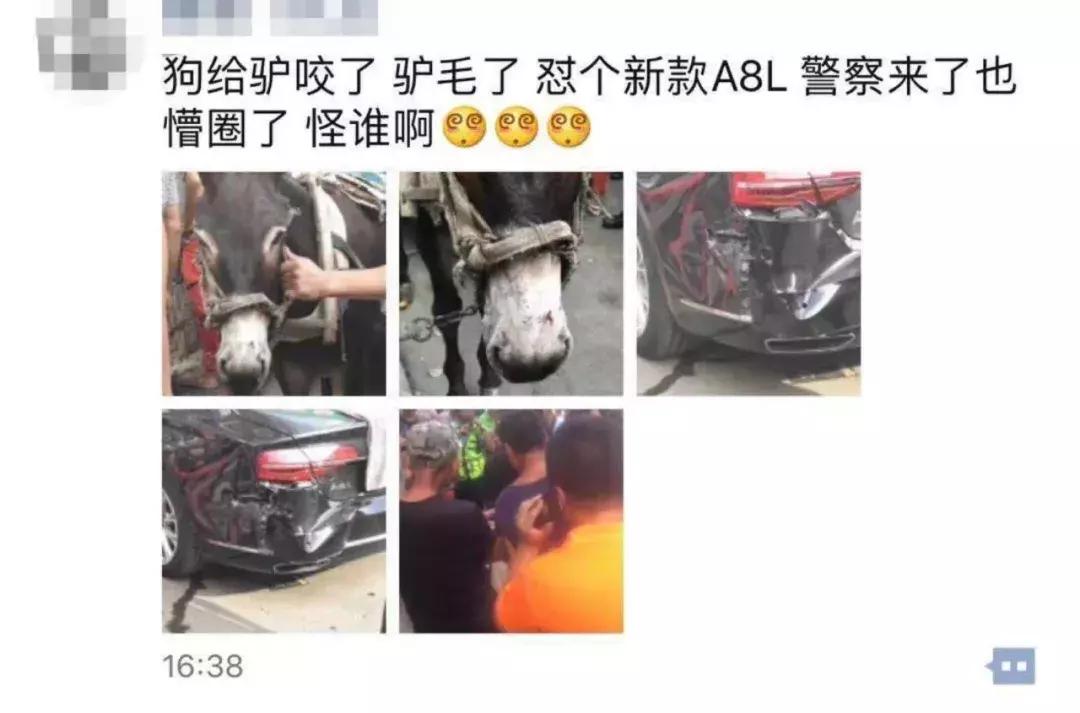“狗吓坏驴后踢坏奥迪豪车”事件，“第三狗”导致了动物侵权，如何定性