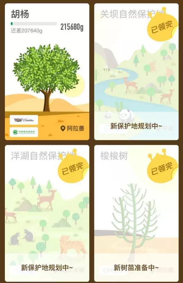 蚂蚁沙漠种树,蚂蚁森林沙漠种树航拍