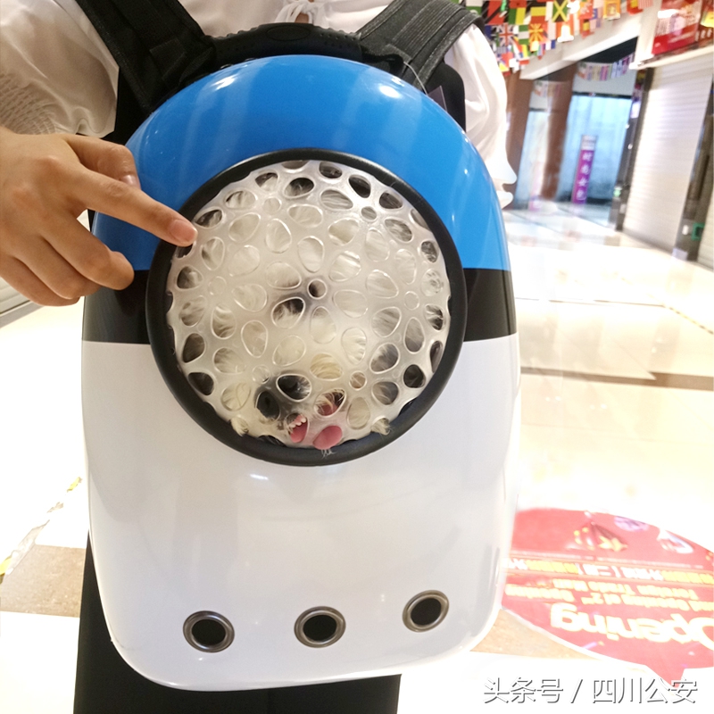 遇到狗咬人怎么自救,遇到狗狗攻击自救方法