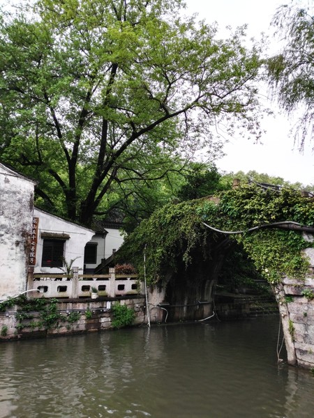 绍兴湖面上的桥,绍兴越城的桥