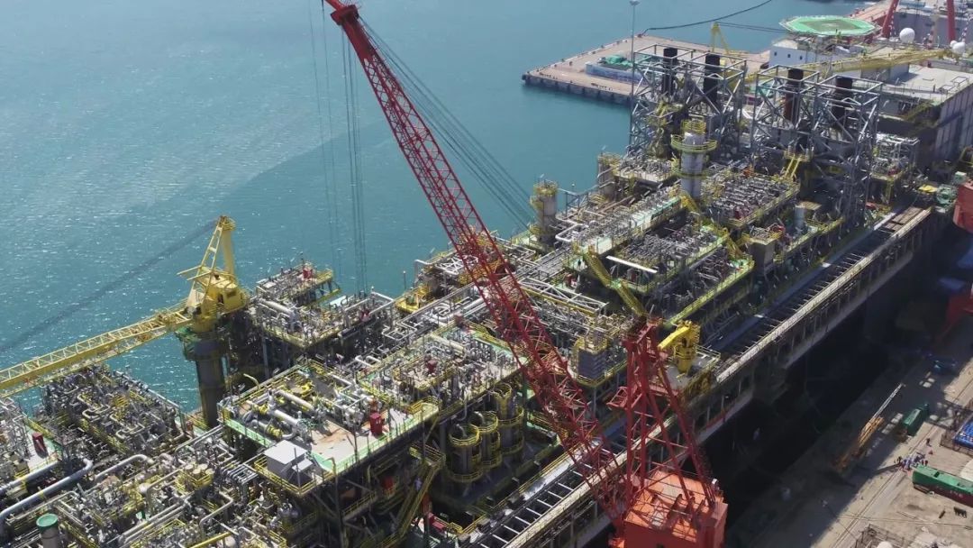 辽宁海边惊现巨型海兽,青岛发现的巨兽