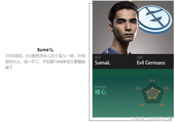 ti8战队阵容,ti8参赛战队