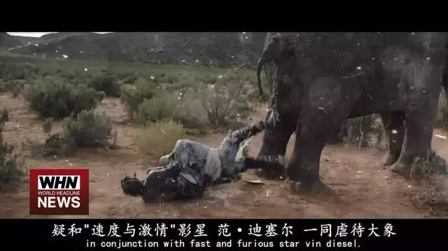 年度污贱神作，英国疯子创作的辣眼神片！