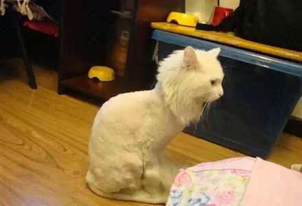 笑笑笑死我了,笑笑笑死人