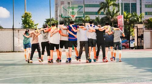 三生黄金宝2024,三生黄金宝揭秘