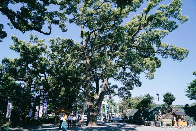 到熊本旅行自由行攻略,到熊本旅游自由行路线