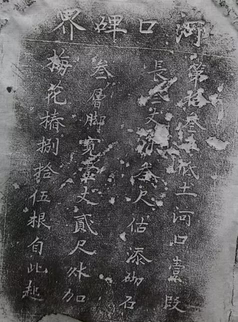 打造700亩湿地公园需要多少钱,国家森林公园奉贤