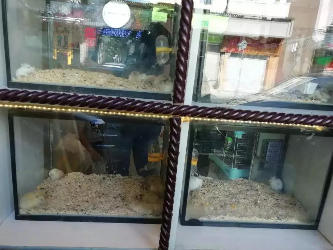 下一站婚姻1-40集免费,下一站是幸福演员表