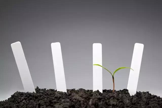 比较好的土壤调理剂,土壤调理剂能改善土壤的粘度吗