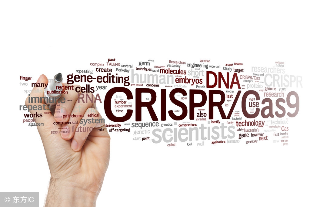 预防孩子癌症,神经母细胞瘤为什么成为儿童癌王