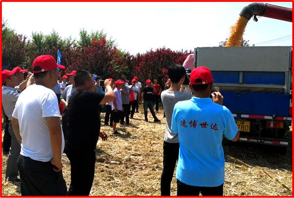 含水量40的玉米,农民家用玉米风干机器