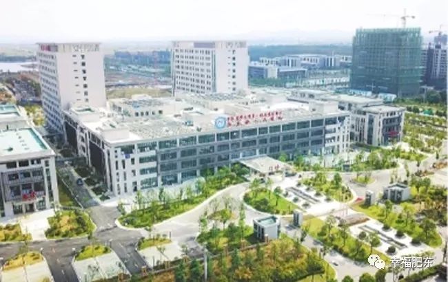 赞赞赞！肥东县医院获得全国大奖~全省唯一！