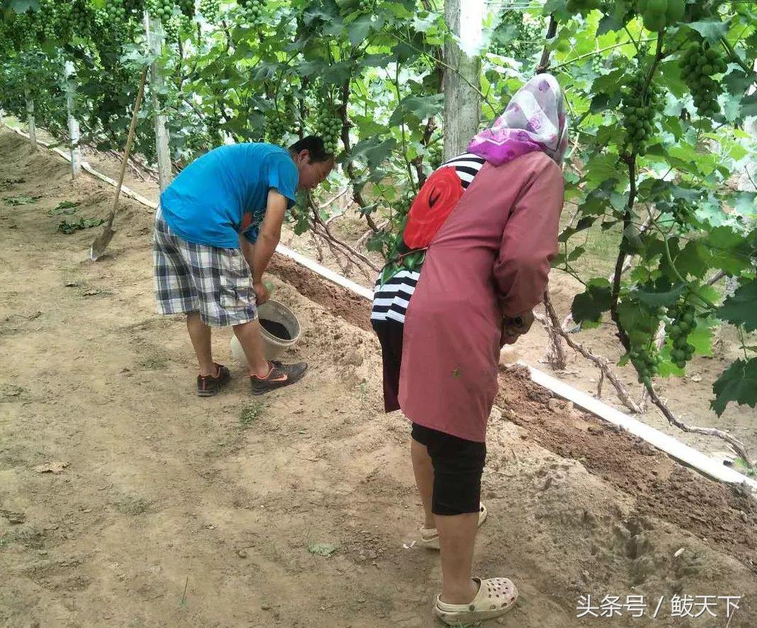 营口发布四个“十大名单”!鲅鱼圈这些人的上榜原因很感人