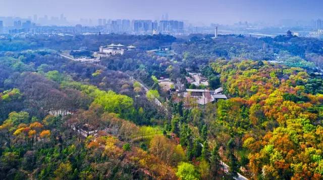 南京23万“码农”必备这本说明书｜庆祝改革开放四十周年