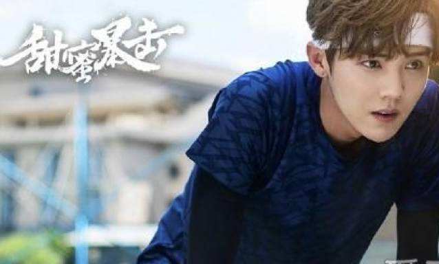 鹿晗散打决赛,散打冠军愁鹿晗