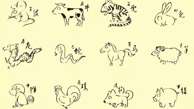 12生肖生个什么属相对自己最有利,十二生肖生个什么属相的宝宝
