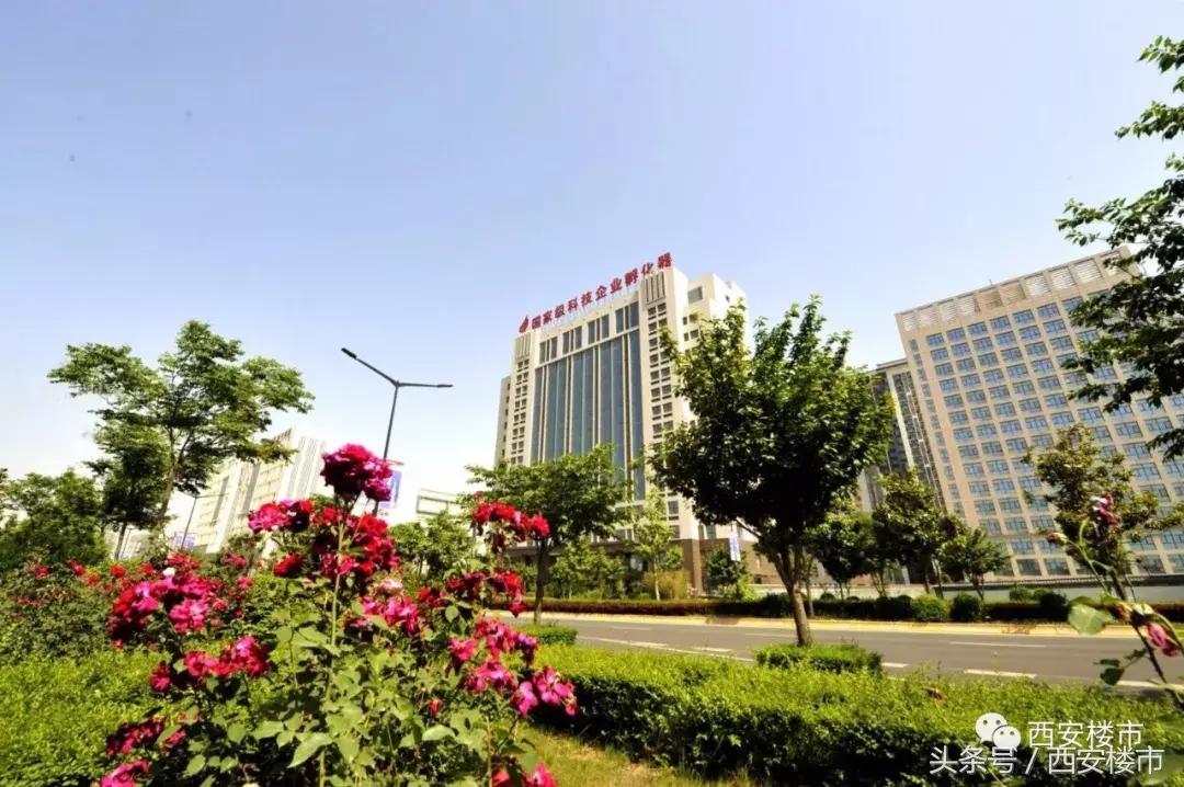 你们说为什么要去航天,为什么那么多人去航天