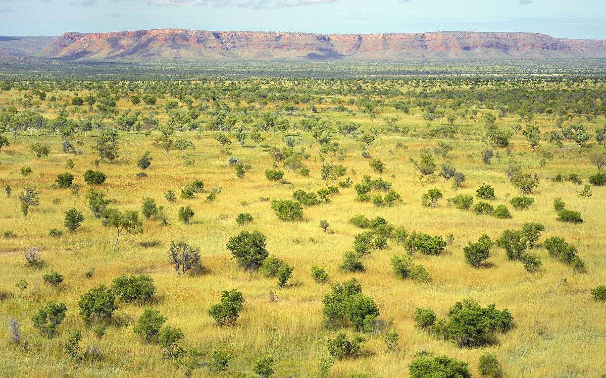 澳大利亚东部气候分布狭长的原因,澳大利亚大陆属于什么气候