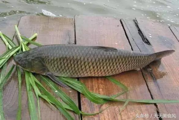 切鱼生的手法怎么切比较快,鱼切法教程