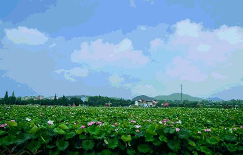 宝鸡十大湿地公园排名,宝鸡市自然生态园林公园